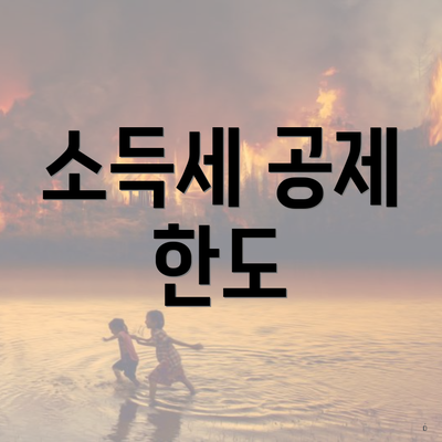 소득세 공제 한도