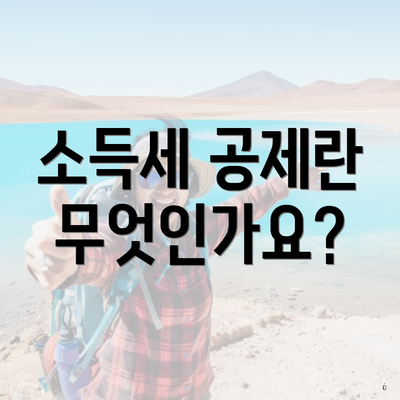 소득세 공제란 무엇인가요?