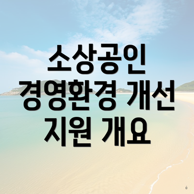 소상공인 경영환경 개선 지원 개요