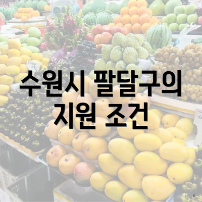 수원시 팔달구의 지원 조건