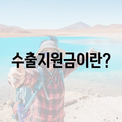 수출지원금이란?