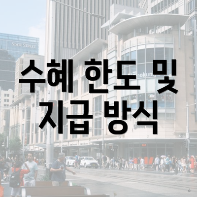 수혜 한도 및 지급 방식