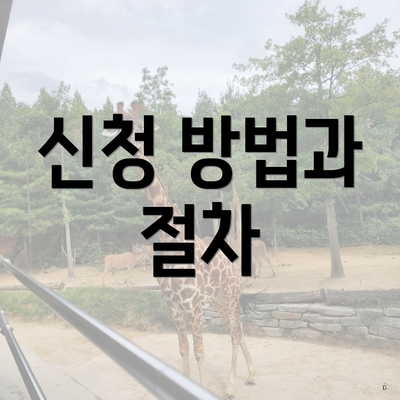 신청 방법과 절차