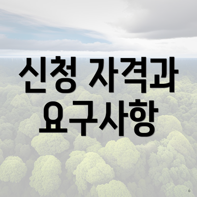 신청 자격과 요구사항