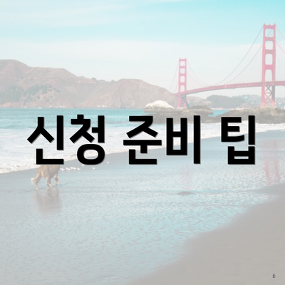 신청 준비 팁