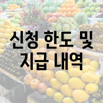 신청 한도 및 지급 내역