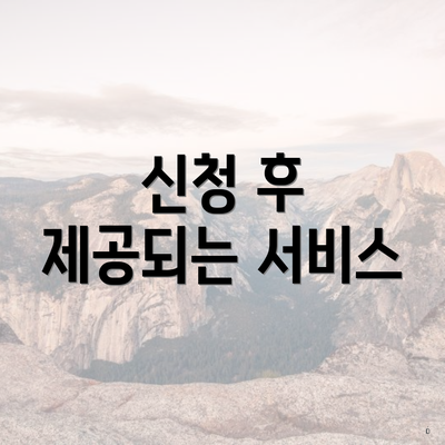신청 후 제공되는 서비스