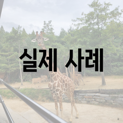 실제 사례