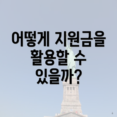 어떻게 지원금을 활용할 수 있을까?