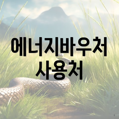 에너지바우처 사용처