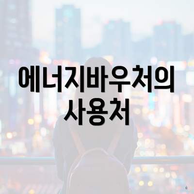 에너지바우처의 사용처