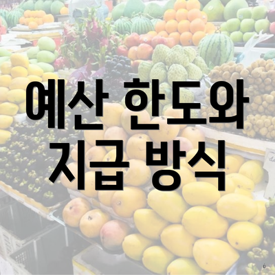 예산 한도와 지급 방식