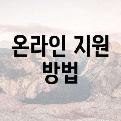 온라인 지원 방법