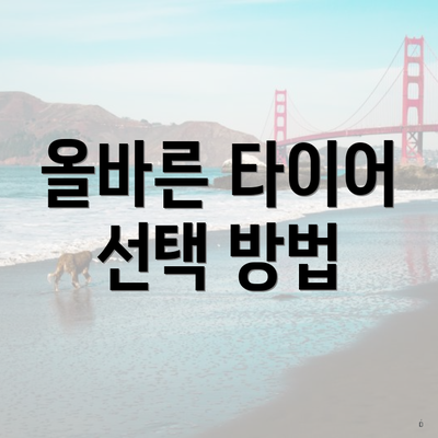 올바른 타이어 선택 방법