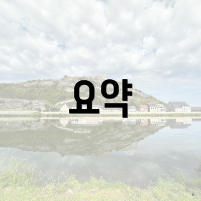 요약