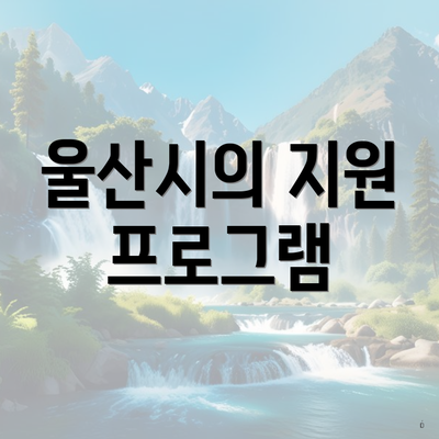 울산시의 지원 프로그램