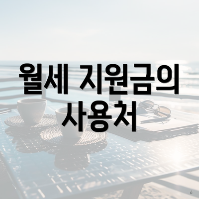 월세 지원금의 사용처