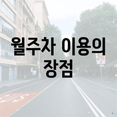 월주차 이용의 장점