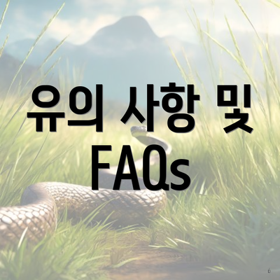 유의 사항 및 FAQs