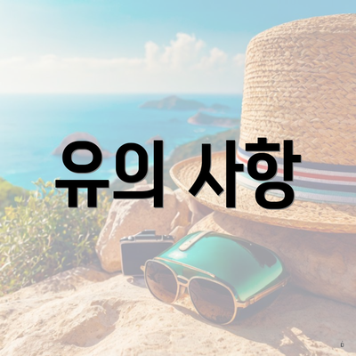 유의 사항