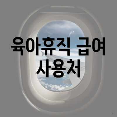 육아휴직 급여 사용처