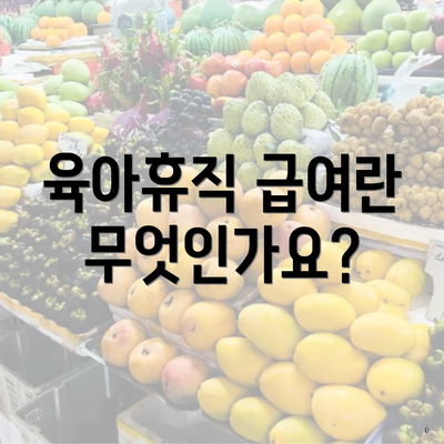 육아휴직 급여란 무엇인가요?