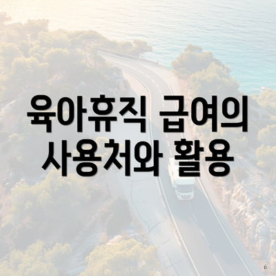 육아휴직 급여의 사용처와 활용