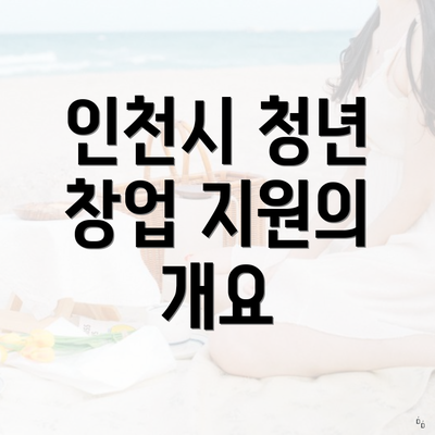 인천시 청년 창업 지원의 개요