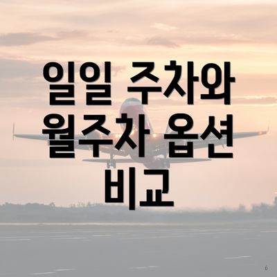 일일 주차와 월주차 옵션 비교