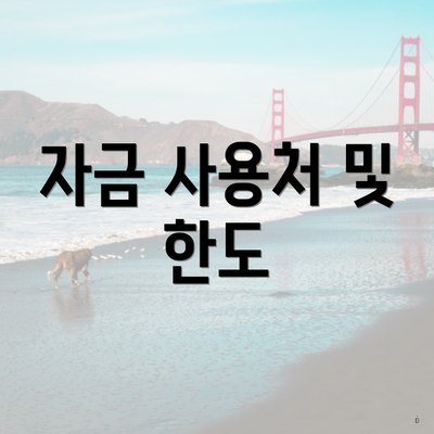 자금 사용처 및 한도