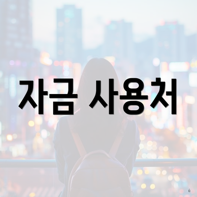 자금 사용처