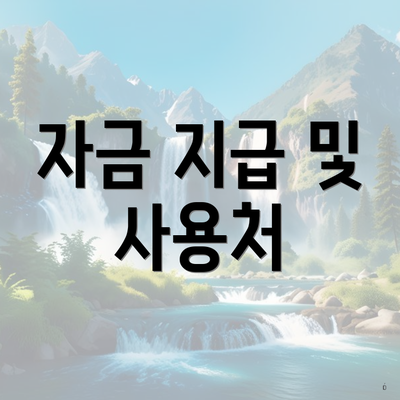 자금 지급 및 사용처