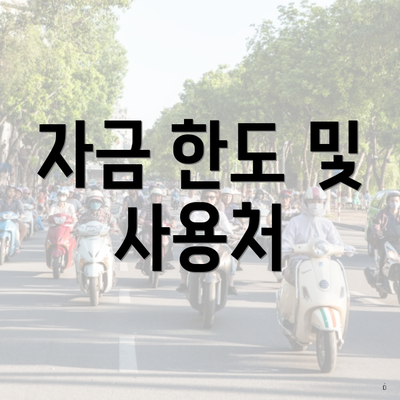 자금 한도 및 사용처