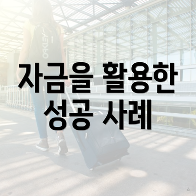자금을 활용한 성공 사례