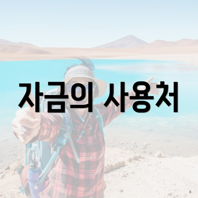 자금의 사용처