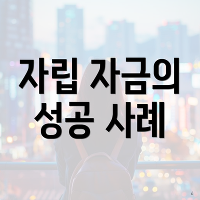 자립 자금의 성공 사례
