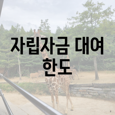 자립자금 대여 한도