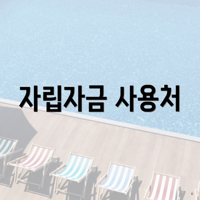 자립자금 사용처