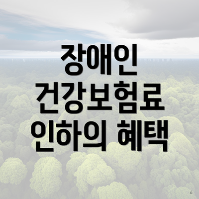 장애인 건강보험료 인하의 혜택