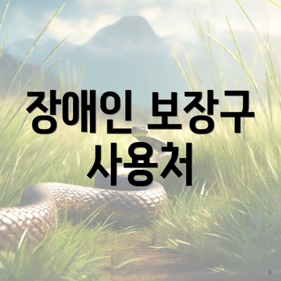 장애인 보장구 사용처