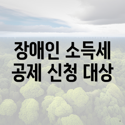 장애인 소득세 공제 신청 대상