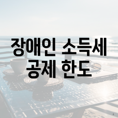 장애인 소득세 공제 한도