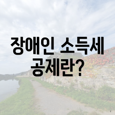 장애인 소득세 공제란?