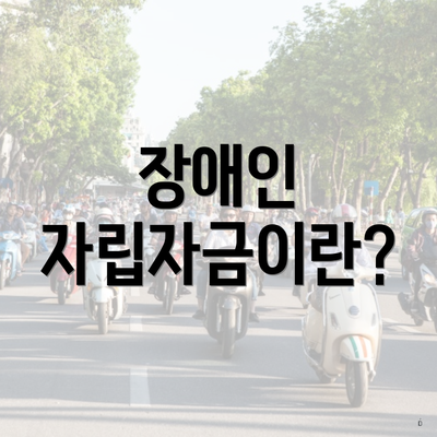 장애인 자립자금이란?