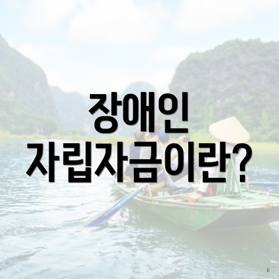 장애인 자립자금이란?