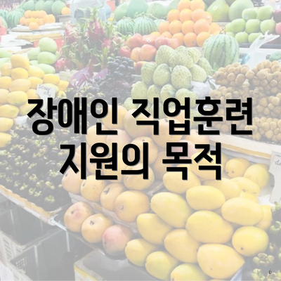장애인 직업훈련 지원의 목적