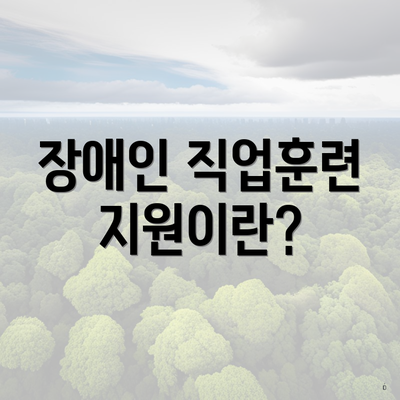 장애인 직업훈련 지원이란?
