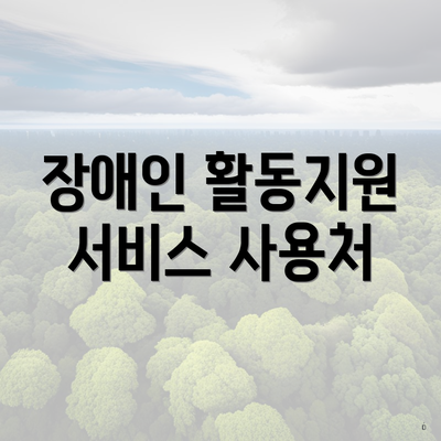 장애인 활동지원 서비스 사용처