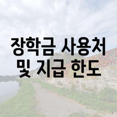 장학금 사용처 및 지급 한도