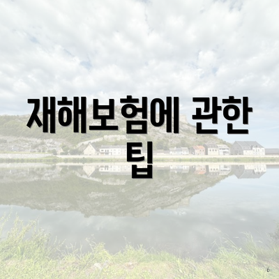 재해보험에 관한 팁